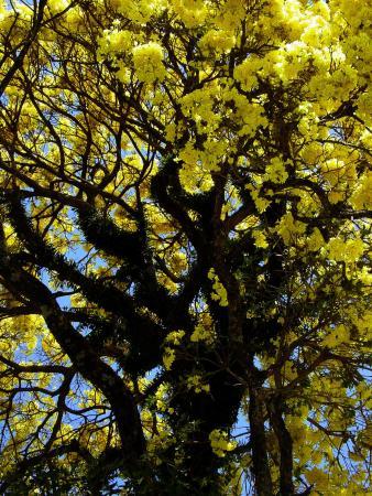 Jardin Botanico de Cali